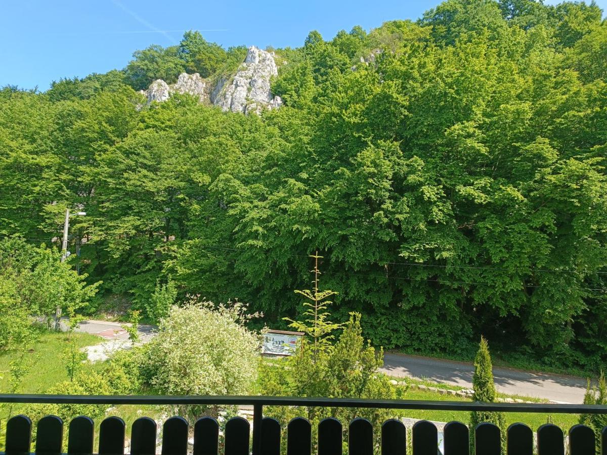 Rowerowe Appartamento Wierzchowie
