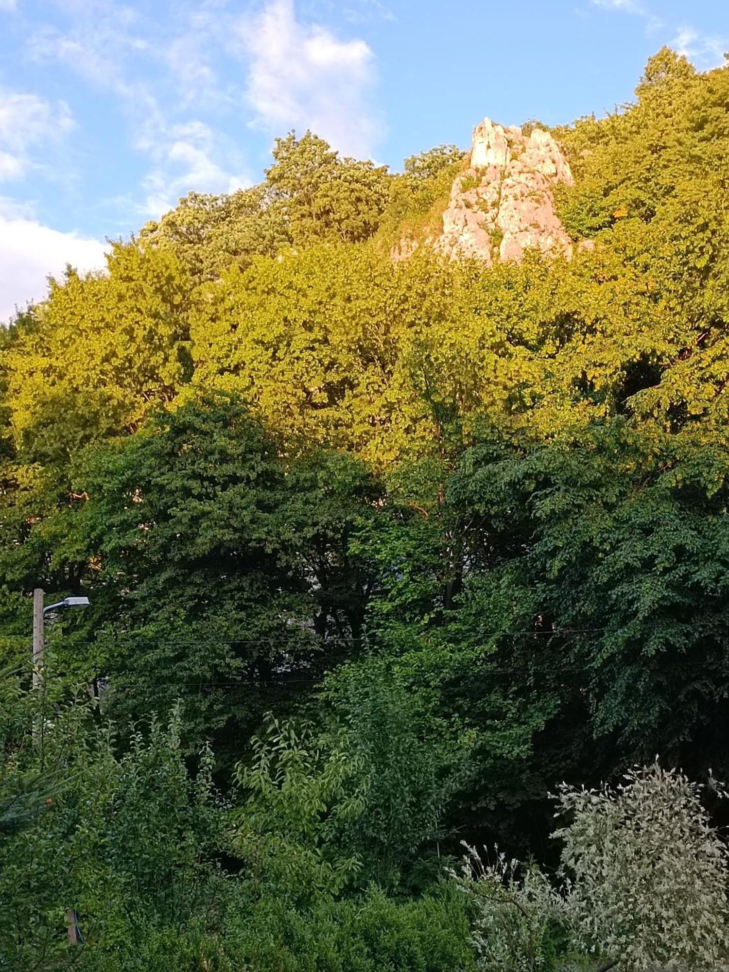 Rowerowe Appartamento